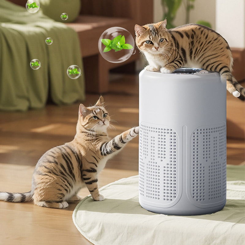 Quiet Energy Efficient Compact Air Purifier For Pet Hair Dust And Allergies